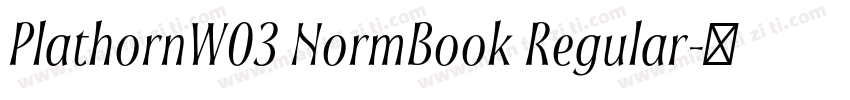 PlathornW03 NormBook Regular字体转换